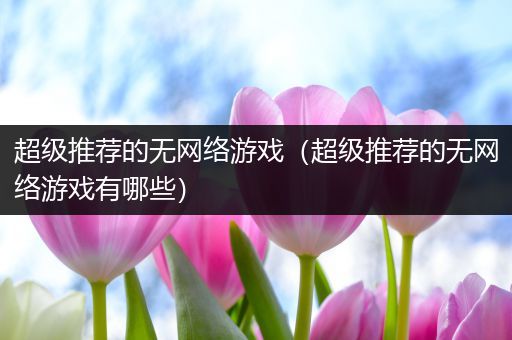 超级推荐的无网络游戏（超级推荐的无网络游戏有哪些）