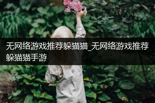 无网络游戏推荐躲猫猫_无网络游戏推荐躲猫猫手游