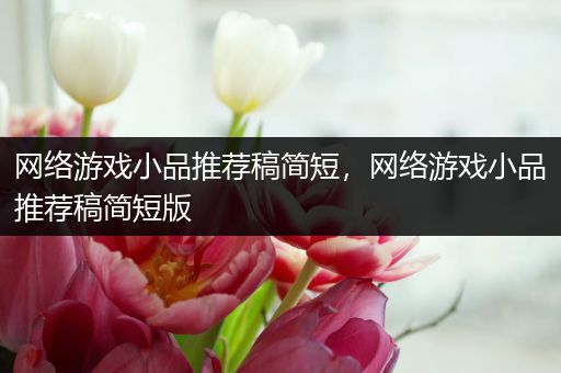 网络游戏小品推荐稿简短，网络游戏小品推荐稿简短版