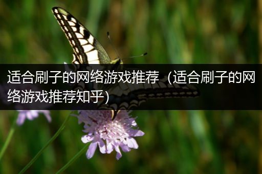 适合刷子的网络游戏推荐（适合刷子的网络游戏推荐知乎）