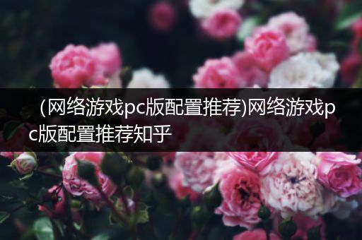 （网络游戏pc版配置推荐)网络游戏pc版配置推荐知乎