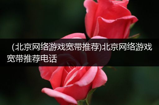 （北京网络游戏宽带推荐)北京网络游戏宽带推荐电话