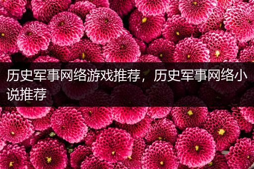 历史军事网络游戏推荐，历史军事网络小说推荐
