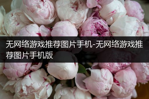 无网络游戏推荐图片手机-无网络游戏推荐图片手机版