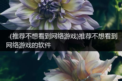 （推荐不想看到网络游戏)推荐不想看到网络游戏的软件