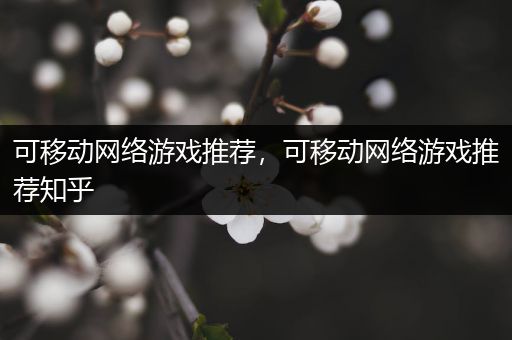 可移动网络游戏推荐，可移动网络游戏推荐知乎