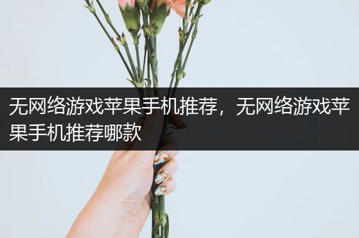 无网络游戏苹果手机推荐，无网络游戏苹果手机推荐哪款