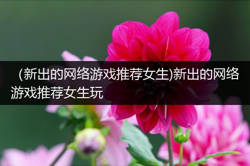 （新出的网络游戏推荐女生)新出的网络游戏推荐女生玩
