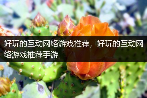 好玩的互动网络游戏推荐，好玩的互动网络游戏推荐手游
