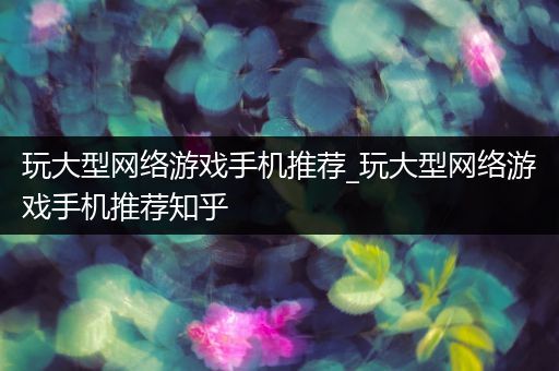 玩大型网络游戏手机推荐_玩大型网络游戏手机推荐知乎