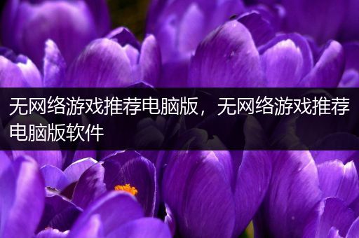 无网络游戏推荐电脑版，无网络游戏推荐电脑版软件