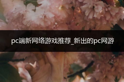 pc端新网络游戏推荐_新出的pc网游