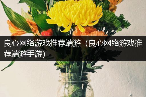 良心网络游戏推荐端游（良心网络游戏推荐端游手游）
