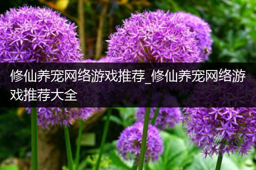 修仙养宠网络游戏推荐_修仙养宠网络游戏推荐大全