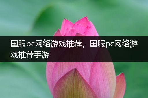 国服pc网络游戏推荐，国服pc网络游戏推荐手游