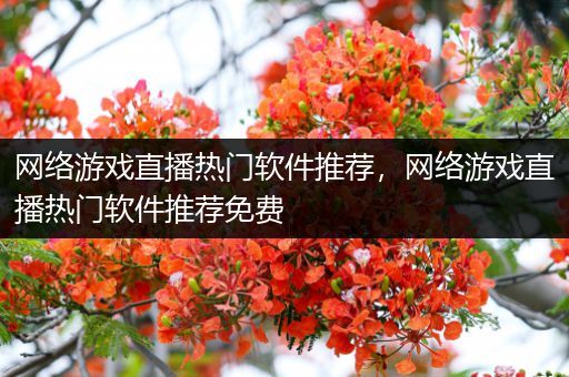 网络游戏直播热门软件推荐，网络游戏直播热门软件推荐免费