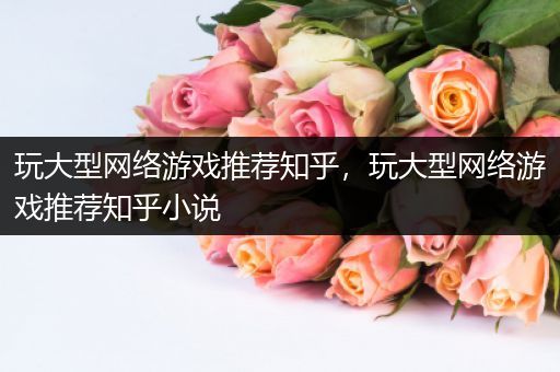 玩大型网络游戏推荐知乎，玩大型网络游戏推荐知乎小说