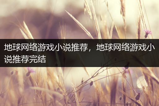 地球网络游戏小说推荐，地球网络游戏小说推荐完结