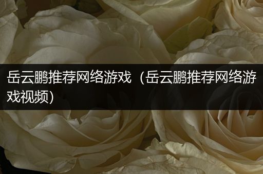 岳云鹏推荐网络游戏（岳云鹏推荐网络游戏视频）
