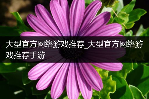 大型官方网络游戏推荐_大型官方网络游戏推荐手游
