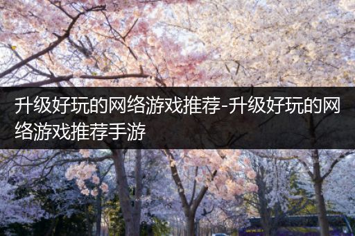 升级好玩的网络游戏推荐-升级好玩的网络游戏推荐手游
