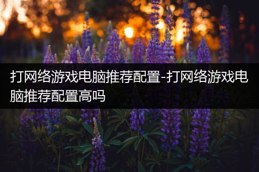 打网络游戏电脑推荐配置-打网络游戏电脑推荐配置高吗