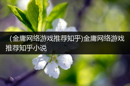 （金庸网络游戏推荐知乎)金庸网络游戏推荐知乎小说