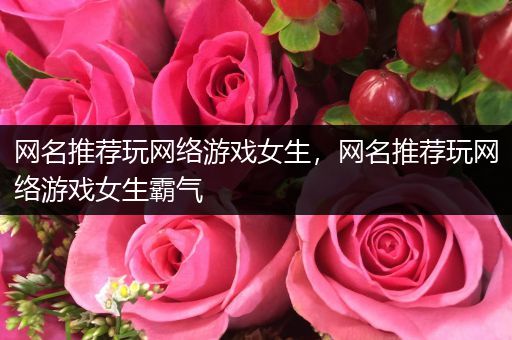 网名推荐玩网络游戏女生，网名推荐玩网络游戏女生霸气