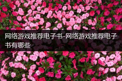 网络游戏推荐电子书-网络游戏推荐电子书有哪些