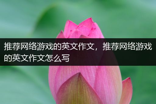 推荐网络游戏的英文作文，推荐网络游戏的英文作文怎么写