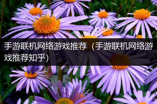 手游联机网络游戏推荐（手游联机网络游戏推荐知乎）