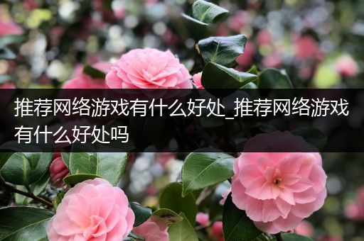 推荐网络游戏有什么好处_推荐网络游戏有什么好处吗