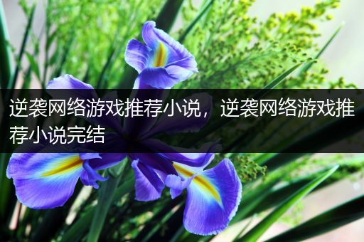 逆袭网络游戏推荐小说，逆袭网络游戏推荐小说完结