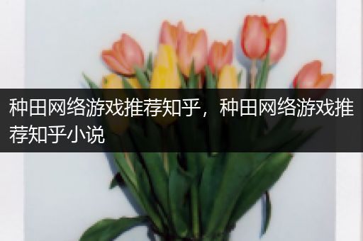 种田网络游戏推荐知乎，种田网络游戏推荐知乎小说