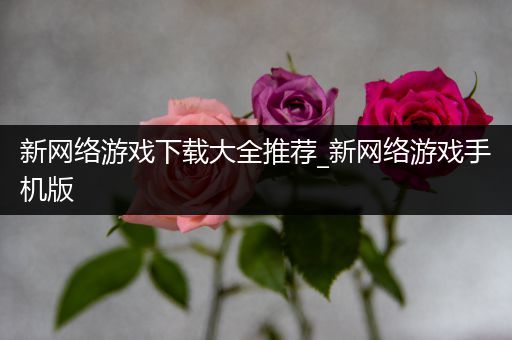 新网络游戏下载大全推荐_新网络游戏手机版