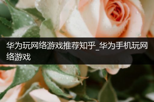 华为玩网络游戏推荐知乎_华为手机玩网络游戏