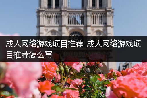 成人网络游戏项目推荐_成人网络游戏项目推荐怎么写