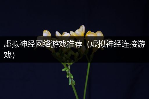 虚拟神经网络游戏推荐（虚拟神经连接游戏）