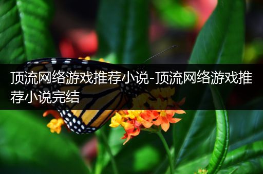 顶流网络游戏推荐小说-顶流网络游戏推荐小说完结