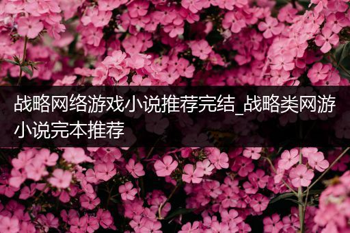 战略网络游戏小说推荐完结_战略类网游小说完本推荐