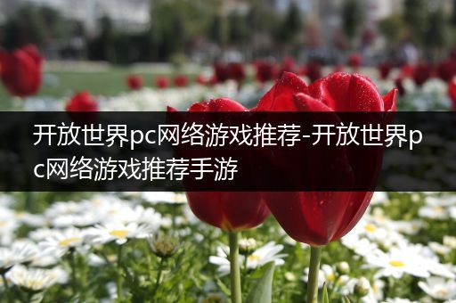 开放世界pc网络游戏推荐-开放世界pc网络游戏推荐手游