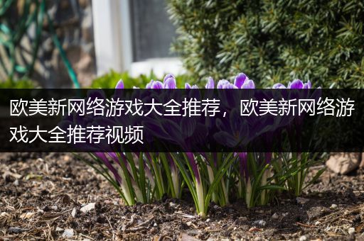 欧美新网络游戏大全推荐，欧美新网络游戏大全推荐视频