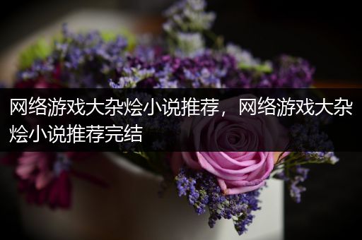网络游戏大杂烩小说推荐，网络游戏大杂烩小说推荐完结