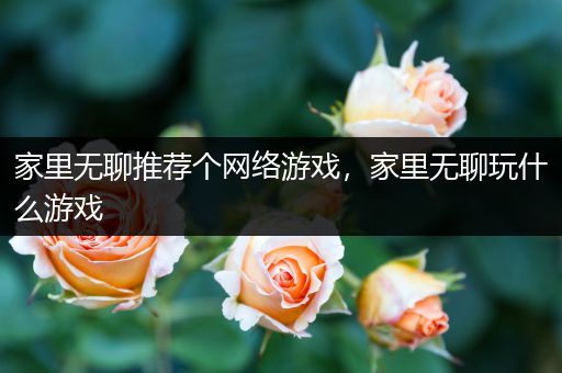 家里无聊推荐个网络游戏，家里无聊玩什么游戏