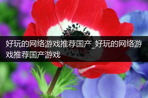 好玩的网络游戏推荐国产_好玩的网络游戏推荐国产游戏