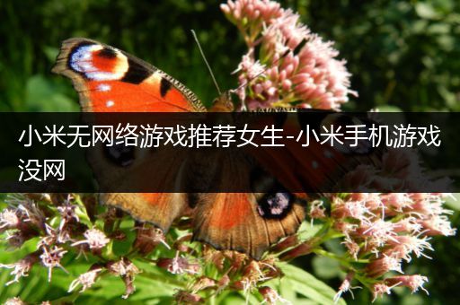 小米无网络游戏推荐女生-小米手机游戏没网