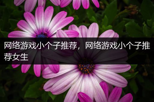 网络游戏小个子推荐，网络游戏小个子推荐女生
