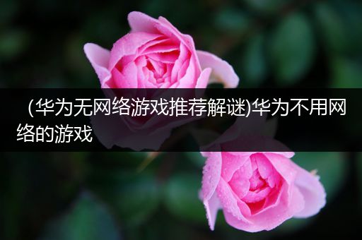 （华为无网络游戏推荐解谜)华为不用网络的游戏