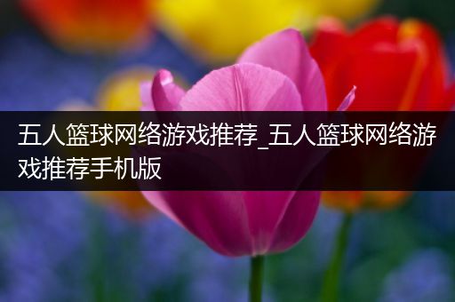 五人篮球网络游戏推荐_五人篮球网络游戏推荐手机版