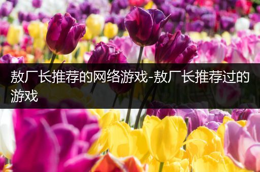 敖厂长推荐的网络游戏-敖厂长推荐过的游戏
